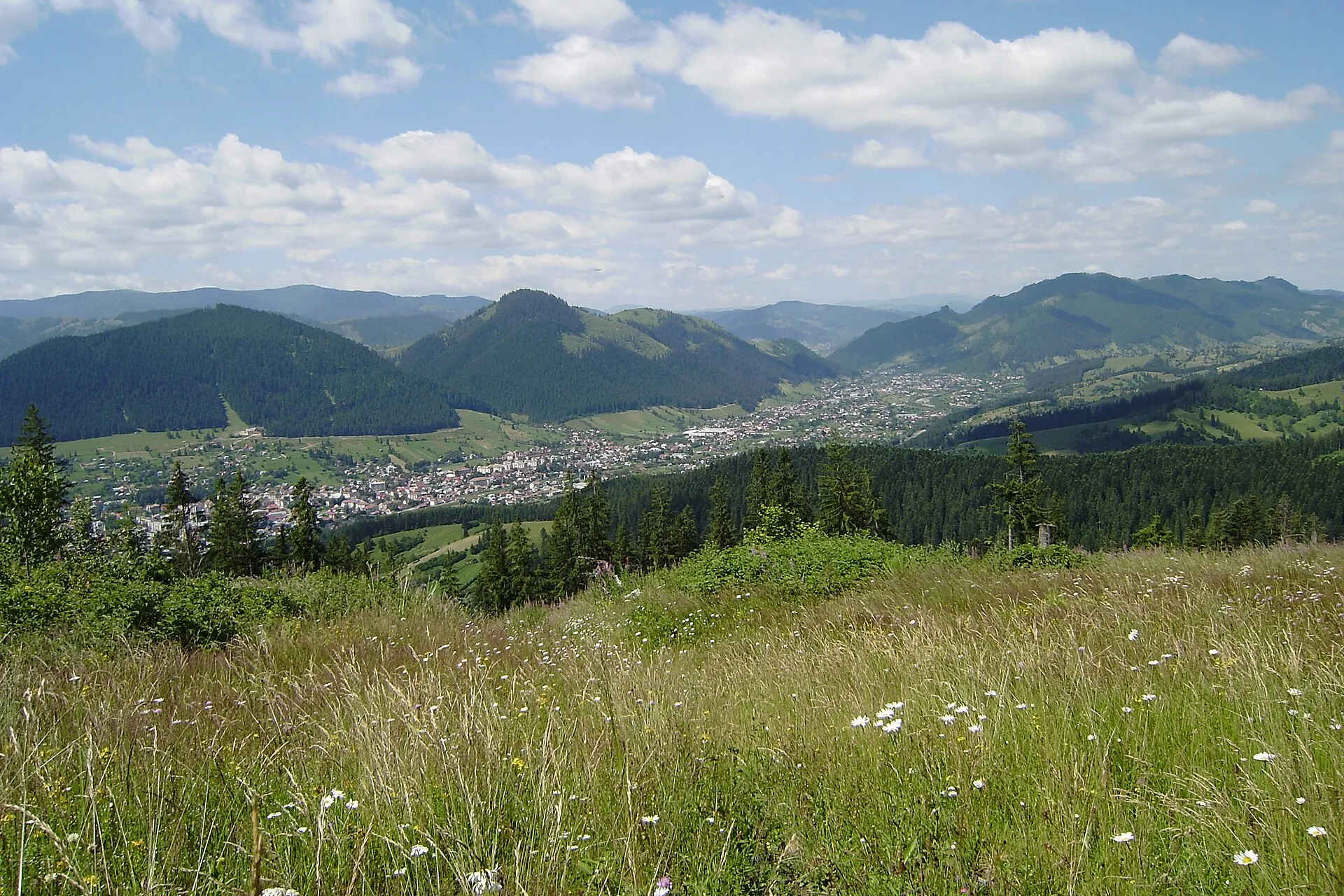 Vedere spre Câmpulung Moldovenesc
