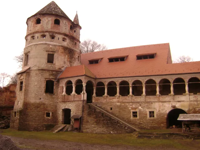 Castelul Bethlen din Criș
